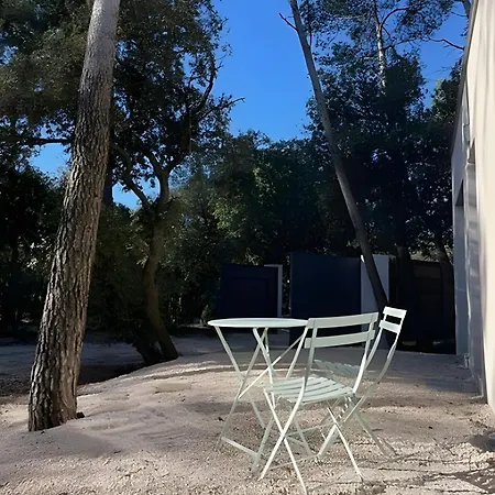Maison Nichée Au Cœur Des Pins