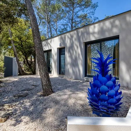 بيت للعطل Maison Nichee Au Coeur Des Pins Saint-Bauzille-de-Montmel