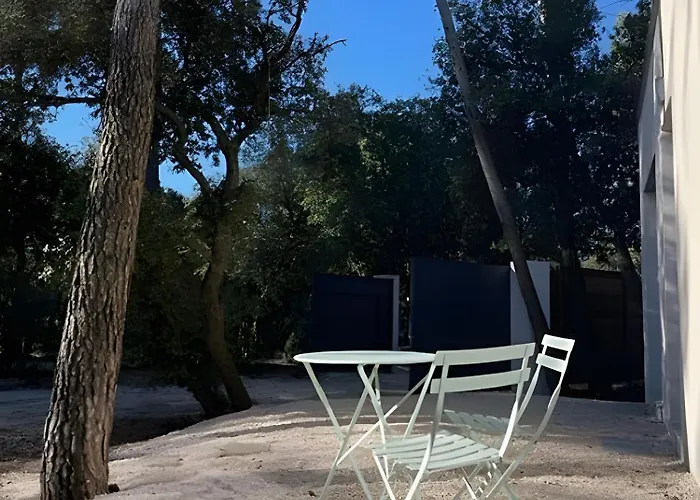 Maison Nichee Au Coeur Des Pins